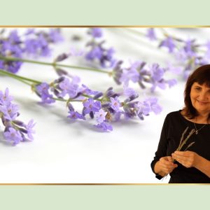 Lavendel Yoga: Freitag 26.9. von 19.30-21.00 Uhr