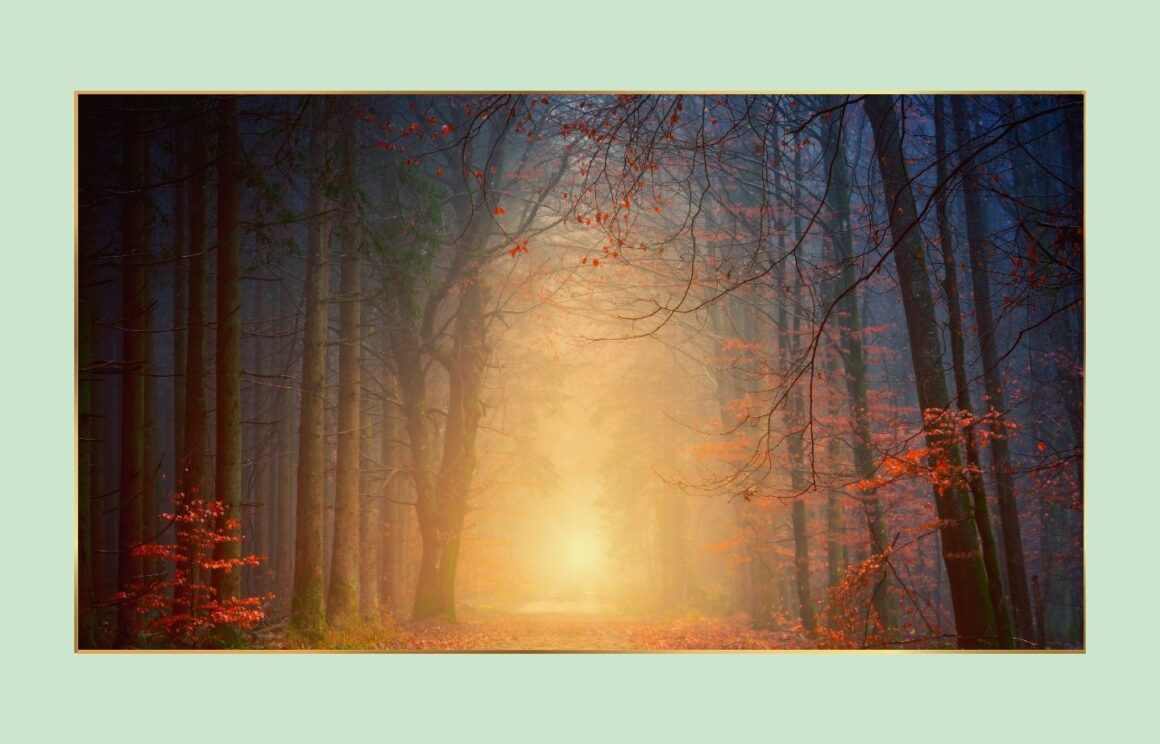 5 Herz-Yoga an Allerseelen: Sonntag, 2.11., 10.00 – 11.30 Uhr