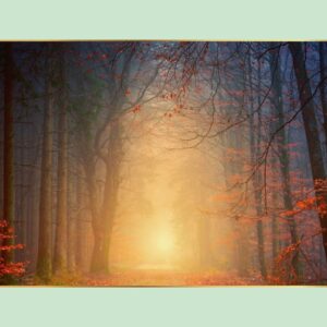 Herz-Yoga an Allerseelen: Sonntag, 2.11., 10.00 – 11.30 Uhr