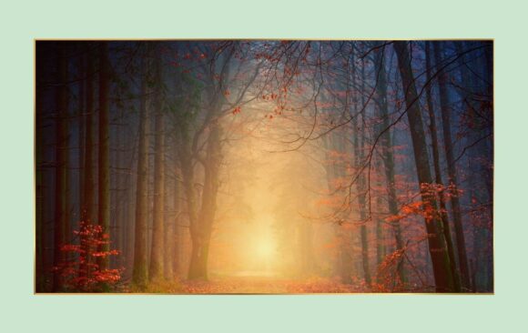 Herz-Yoga an Allerseelen: Sonntag, 2.11., 10.00 – 11.30 Uhr