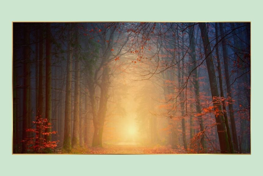 5 Herz-Yoga an Allerseelen: Sonntag, 2.11., 10.00 – 11.30 Uhr